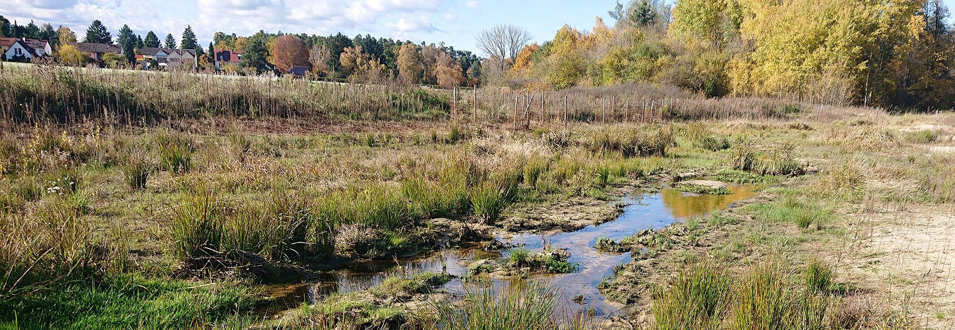 Ökologischer Ausbau Eichenwaldgraben