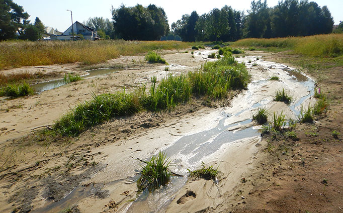 Ökologischer Ausbau Eichenwaldgraben